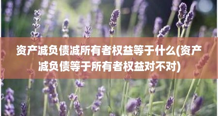 资产减负债减所有者权益等于什么(资产减负债等于所有者权益对不对)