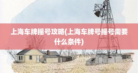 上海车牌摇号攻略(上海车牌号摇号需要什么条件)