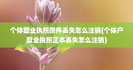 个体营业执照原件丢失怎么注销(个体户营业执照正本丢失怎么注销)