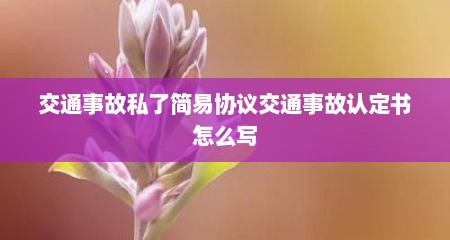 交通事故私了简易协议交通事故认定书怎么写