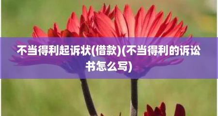 不当得利起诉状(借款)(不当得利的诉讼书怎么写)