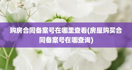 购房合同备案号在哪里查看(房屋购买合同备案号在哪查询)
