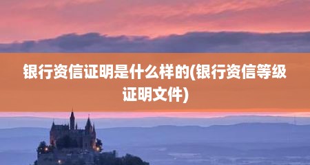银行资信证明是什么样的(银行资信等级证明文件)
