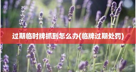 过期临时牌抓到怎么办(临牌过期处罚)