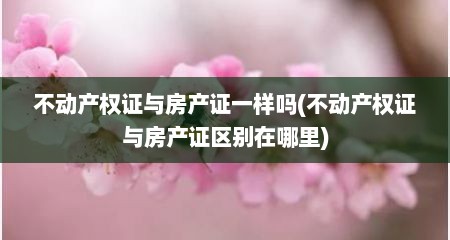 不动产权证与房产证一样吗(不动产权证与房产证区别在哪里)