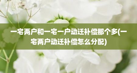 一宅两户和一宅一户动迁补偿那个多(一宅两户动迁补偿怎么分配)