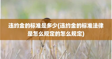 违约金的标准是多少(违约金的标准法律是怎么规定的怎么规定)