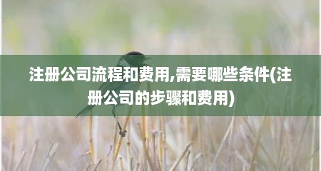 注册公司流程和费用,需要哪些条件(注册公司的步骤和费用)