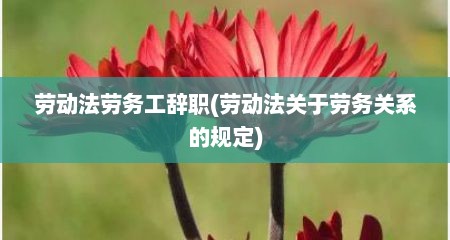 劳动法劳务工辞职(劳动法关于劳务关系的规定)
