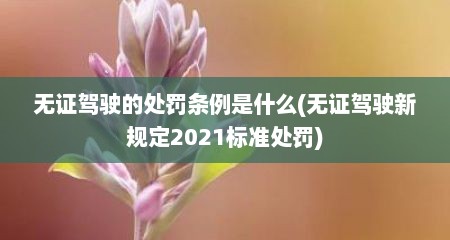 无证驾驶的处罚条例是什么(无证驾驶新规定2021标准处罚)