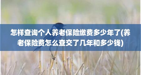怎样查询个人养老保险缴费多少年了(养老保险费怎么查交了几年和多少钱)
