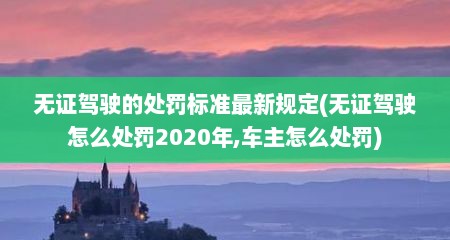 无证驾驶的处罚标准最新规定(无证驾驶怎么处罚2020年,车主怎么处罚)