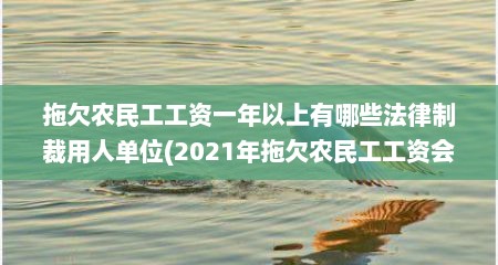 拖欠农民工工资一年以上有哪些法律制裁用人单位(2021年拖欠农民工工资会怎么样)