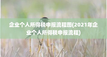 企业个人所得税申报流程图(2021年企业个人所得税申报流程)