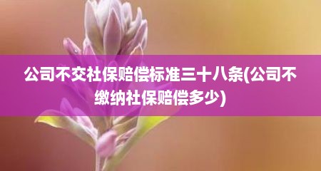 公司不交社保赔偿标准三十八条(公司不缴纳社保赔偿多少)