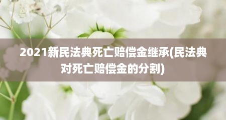 2021新民法典死亡赔偿金继承(民法典对死亡赔偿金的分割)