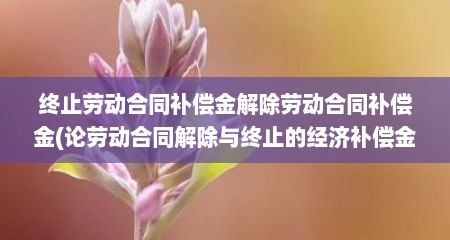 终止劳动合同补偿金解除劳动合同补偿金(论劳动合同解除与终止的经济补偿金制度)