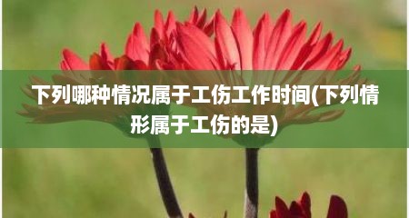 下列哪种情况属于工伤工作时间(下列情形属于工伤的是)