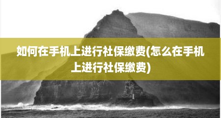 如何在手机上进行社保缴费(怎么在手机上进行社保缴费)