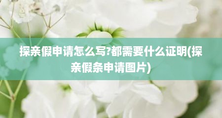 探亲假申请怎么写?都需要什么证明(探亲假条申请图片)