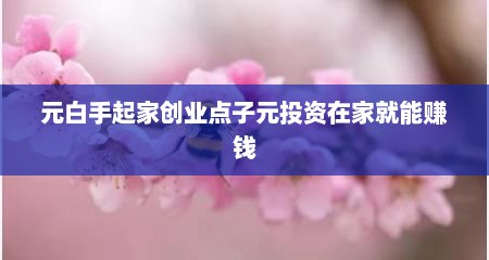 元白手起家创业点子元投资在家就能赚钱