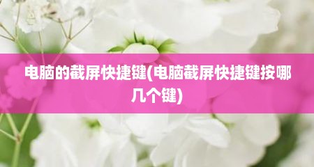 电脑的截屏快捷键(电脑截屏快捷键按哪几个键)