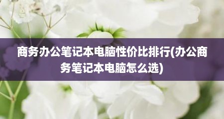 商务办公笔记本电脑性价比排行(办公商务笔记本电脑怎么选)
