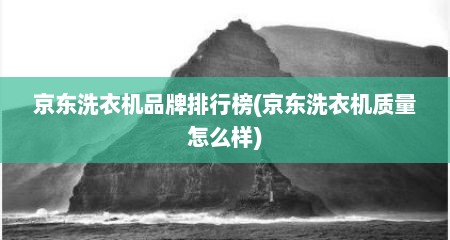 京东洗衣机品牌排行榜(京东洗衣机质量怎么样)