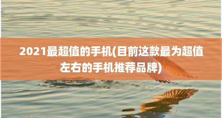 2021最超值的手机(目前这款最为超值左右的手机推荐品牌)