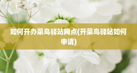 如何开办菜鸟驿站网点(开菜鸟驿站如何申请)