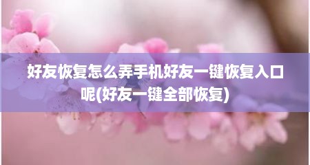 好友恢复怎么弄手机好友一键恢复入口呢(好友一键全部恢复)