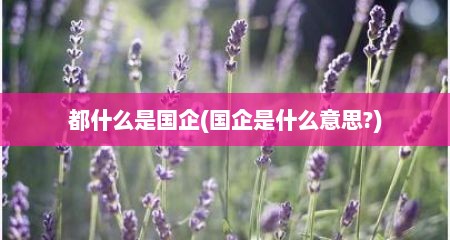 都什么是国企(国企是什么意思?)