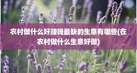 农村做什么好赚钱最缺的生意有哪些(在农村做什么生意好做)