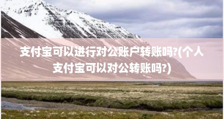 支付宝可以进行对公账户转账吗?(个人支付宝可以对公转账吗?)