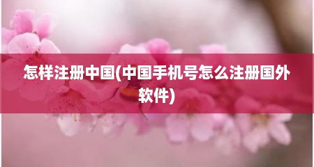 怎样注册中国(中国手机号怎么注册国外软件)