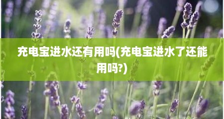 充电宝进水还有用吗(充电宝进水了还能用吗?)