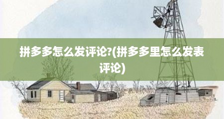 拼多多怎么发评论?(拼多多里怎么发表评论)