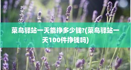 菜鸟驿站一天能挣多少钱?(菜鸟驿站一天100件挣钱吗)