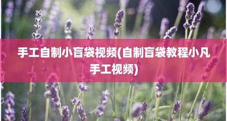 手工自制小盲袋视频(自制盲袋教程小凡手工视频)