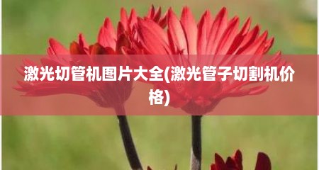 激光切管机图片大全(激光管子切割机价格)