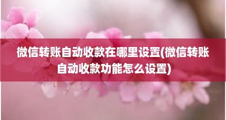 微信转账自动收款在哪里设置(微信转账自动收款功能怎么设置)