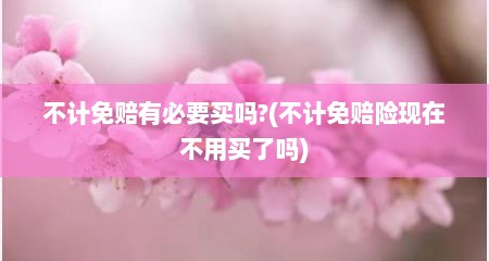 不计免赔有必要买吗?(不计免赔险现在不用买了吗)