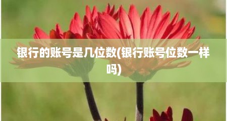 银行的账号是几位数(银行账号位数一样吗)