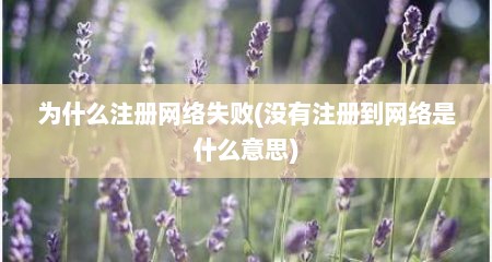 为什么注册网络失败(没有注册到网络是什么意思)