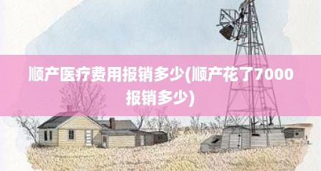 顺产医疗费用报销多少(顺产花了7000报销多少)