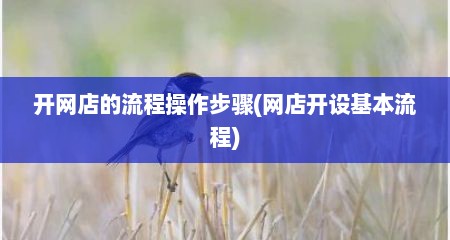 开网店的流程操作步骤(网店开设基本流程)
