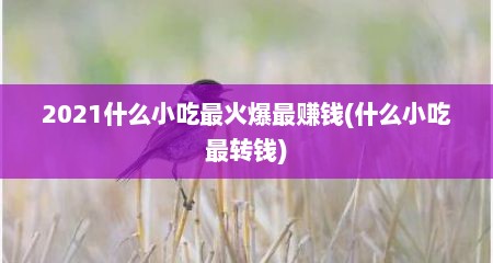 2021什么小吃最火爆最赚钱(什么小吃最转钱)