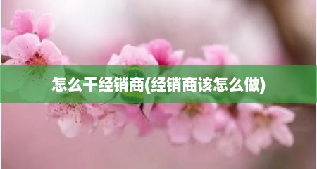 怎么干经销商(经销商该怎么做)