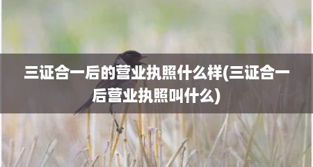 三证合一后的营业执照什么样(三证合一后营业执照叫什么)