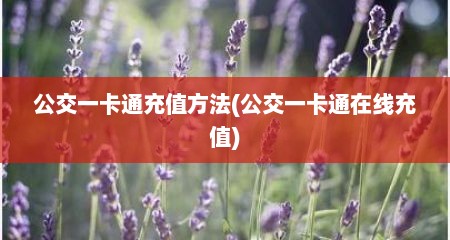 公交一卡通充值方法(公交一卡通在线充值)